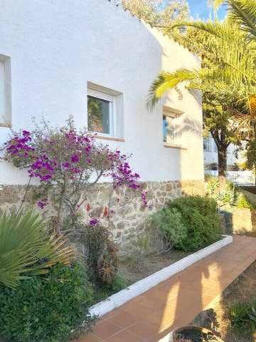 Amplio Apartamento Con Jardin En Almadrava Roses Exterior photo