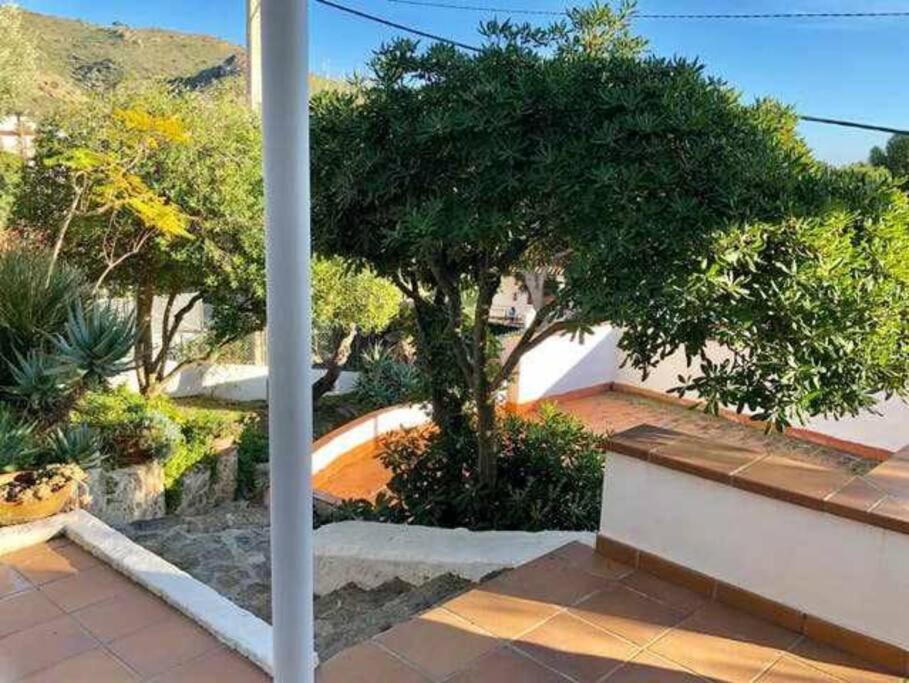 Amplio Apartamento Con Jardin En Almadrava Roses Exterior photo
